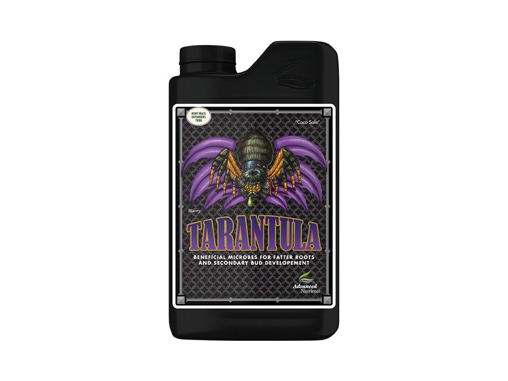 500ML AN TARANTULA, HUOM PÄIVÄYS *