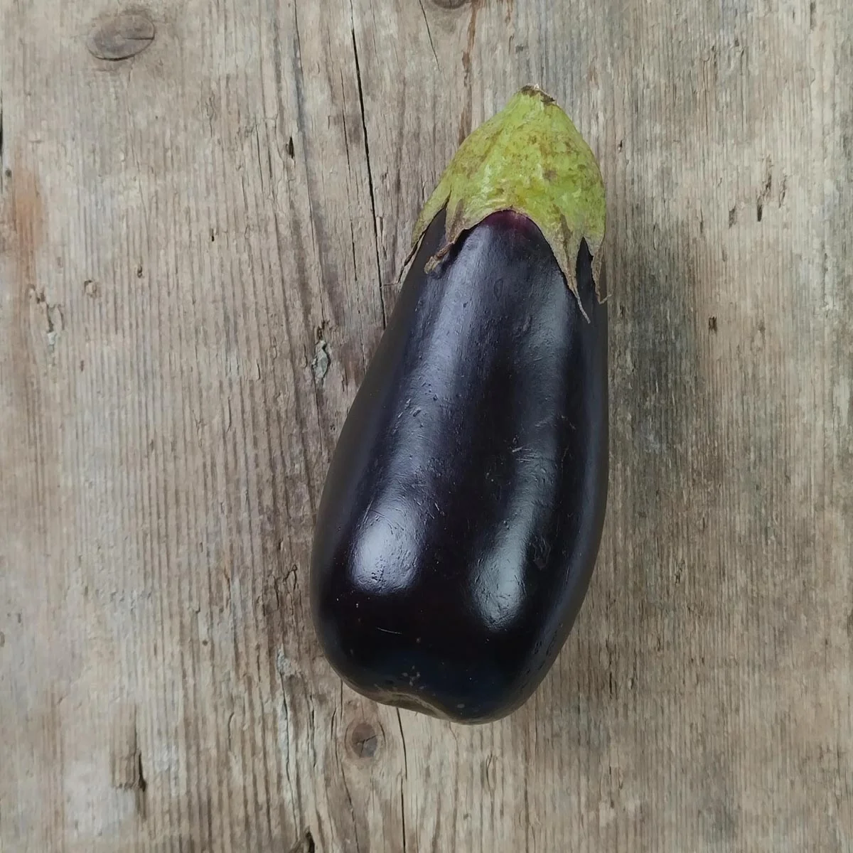 Munakoiso, Eggplant 'Long Purple' (Solanum melongena) n.10kpl