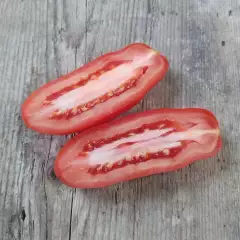 Tomaatti San Marzano, Solanum lycopersicum ORGANIC taimi 1kpl 