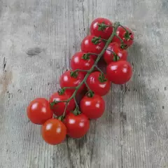 Kirsikkatomaatti, Cherry Tomato 'Red Bell' (Solanum lycopersicum),taimi 1kpl 