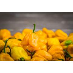 Carolina Reaper yellow chili Siemenet 5kpl 