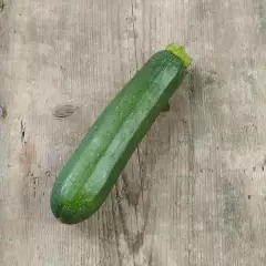 Kesäkurpitsa, Zucchini 'Zuboda' (Cucurbita pepo) organic, n. 10 kpl