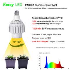 Koray PAR30Z LED 18W Säädettävä kulma