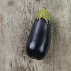 Munakoiso, Eggplant 'Long Purple' (Solanum melongena) n.10kpl