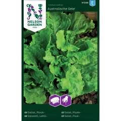 Lehtisalaatti siemenet, Australialainen,Kylvöna - Nelson Garden  91298 E
